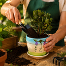 Kit Jardinagem 3 Peças Prático